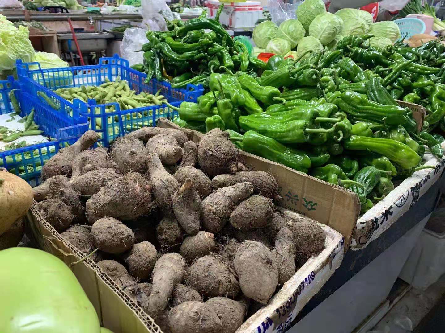 春节前菜价难回落！九江油菜青椒价格翻番 鲫鱼涨价