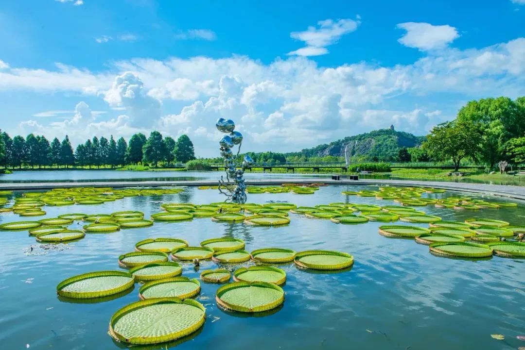 上海有哪些樂園 上海最值得去的公園-誠智百科網