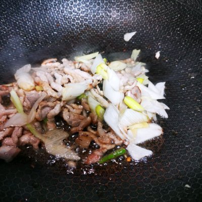 洋白菜的做法大全,洋白菜的做法大全家常菜視頻