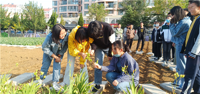 高中足球比赛威海赛区在哪里(威海一中：守正创新担当育人新使命 砥砺奋进彰显办学新作为)