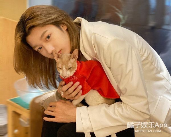 青3创4潜力股预览！翻版宋威龙浓颜出圈，这颜值能火成顶流吗？