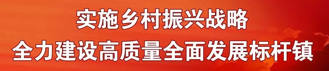 叮咚！南海实验学校录取通知书已发出！颜值超高→