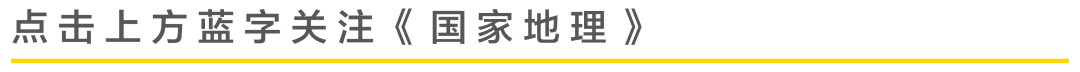 今天，全世界都在看泉州