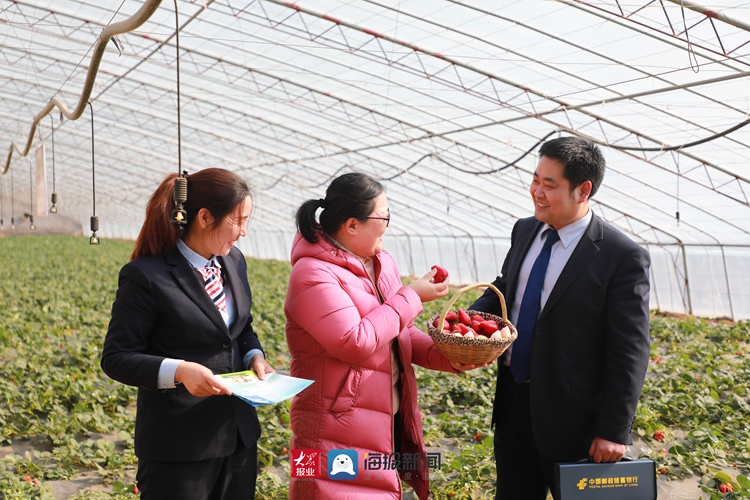 邮储银行枣庄市分行：无息贷款让更多“打工人”留乡创业