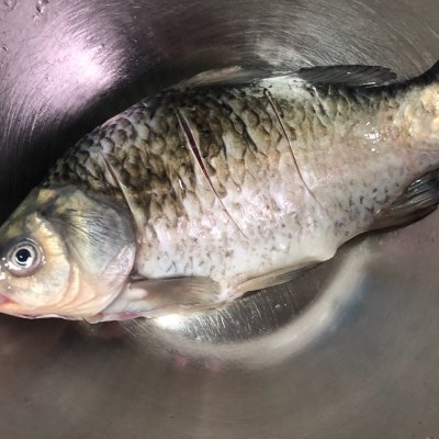 紅燒鯽魚的做法,紅燒鯽魚的做法和步驟的視頻
