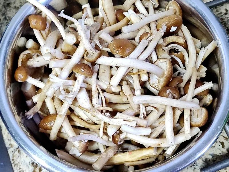 茶樹菇,茶樹菇怎么做好吃