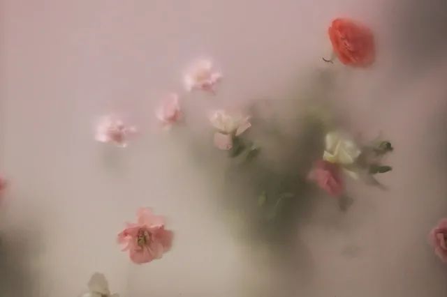 夜读 | 有一种爱，叫见字如面