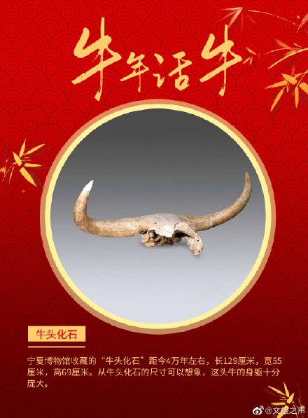 牛年话牛|"牛"物皆国宝 恭贺福禄到