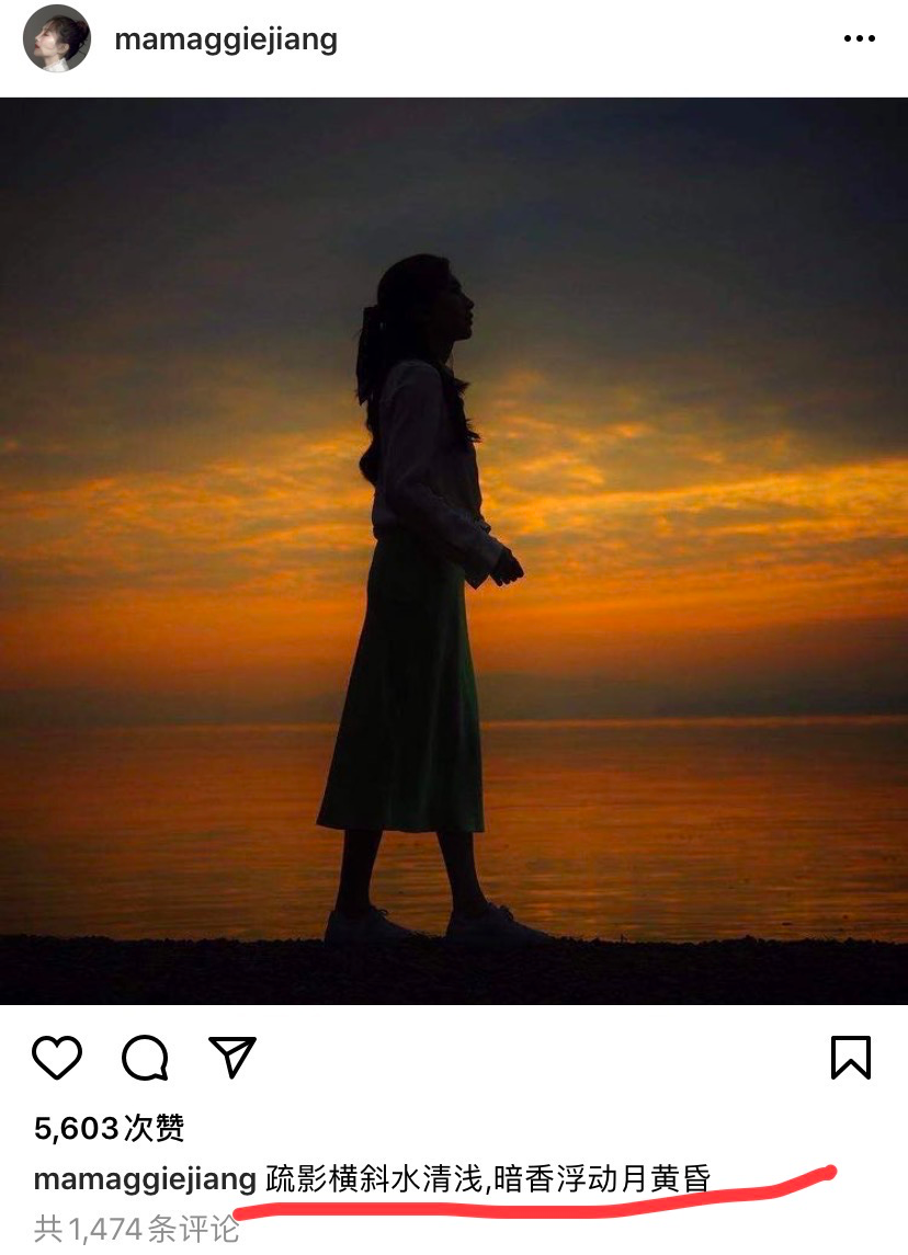 想看江疏影演女律师的举手