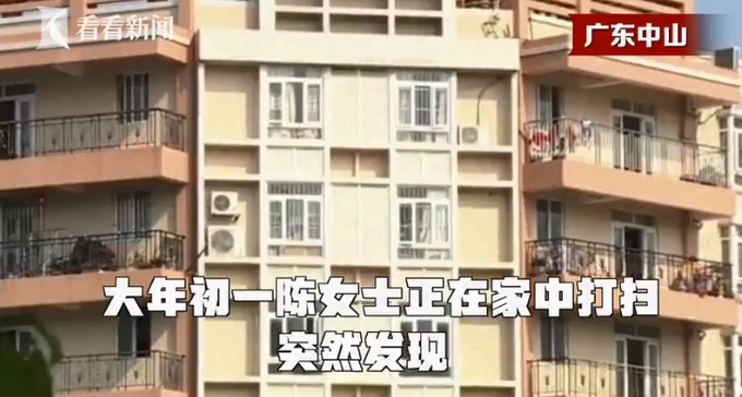 廣東女子年初一在家打掃衛生，看見天花板上一幕嚇得當場報警