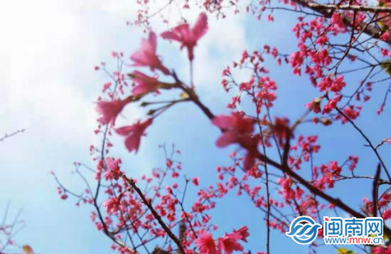 《元宵》古詩