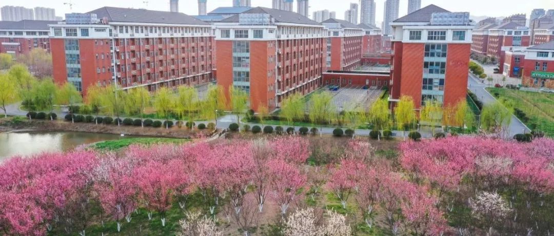 2021提前招生 | 明日开考，你准备好了吗？