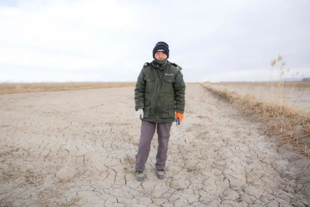 青藏高原新农人拼多多上卖藜麦，“原产地直发”年销千万