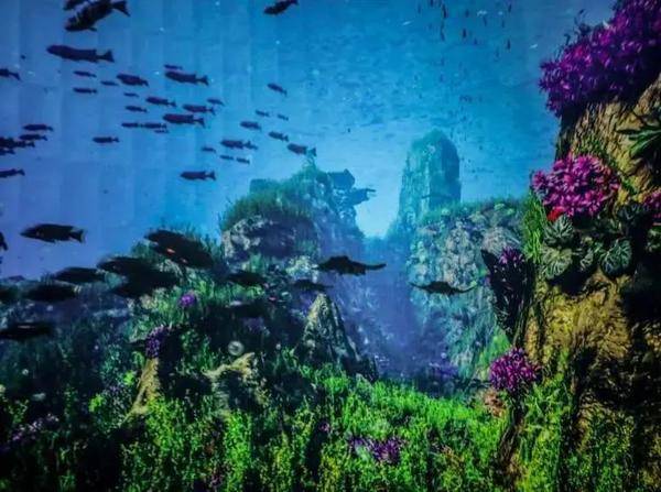 这家虚拟全景沉浸式水族馆的7D影院科技感爆棚