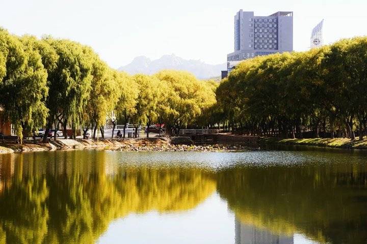 专升本考生｜青岛城市学院13个专业计划1100人