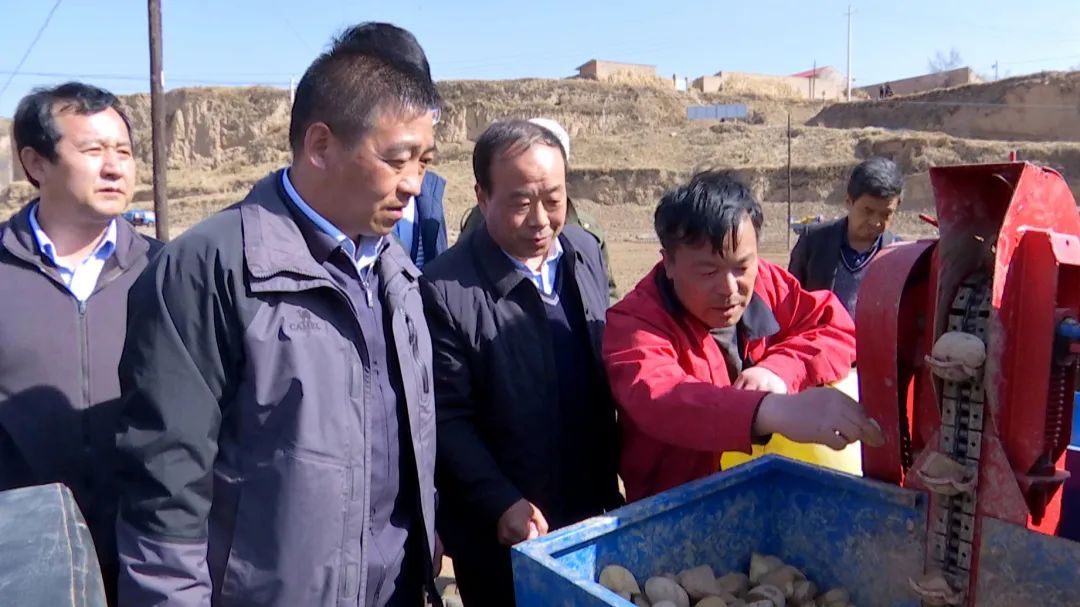 早熟菜用型马铃薯种植技术培训现场会在峡口镇举行