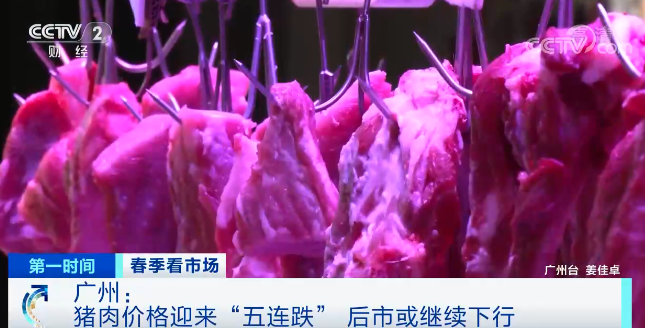 广州市今日猪肉价格多少一斤「生猪肉价格今日价」