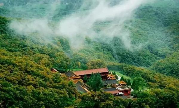 仙台山——中国森林氧吧万物复苏,春色漫山芳仙台山森林公园位于井陉