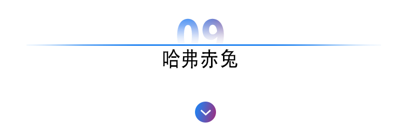 新思域、新汉兰达……上海车展不得不看的十大新车，哪款最撩你？