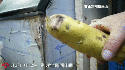 觸目驚心！臥底知名火鍋品牌小龍坎：土豆爛了繼續用、拖把搗制冰機……