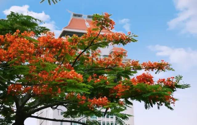 庆祝厦大百年校庆，探访厦门大学漳州校区