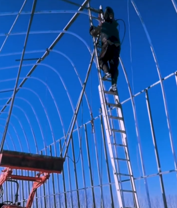 北大毕业后，他去了加拿大种菜：“义无反顾，没有想过再回国”