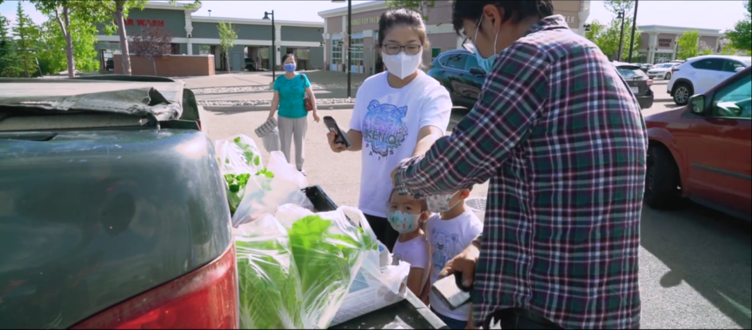 北大毕业后，他去了加拿大种菜：“义无反顾，没有想过再回国”