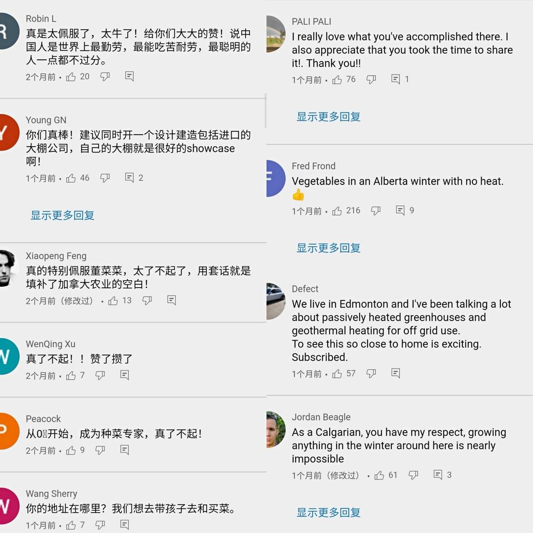 北大毕业后，他去了加拿大种菜：“义无反顾，没有想过再回国”