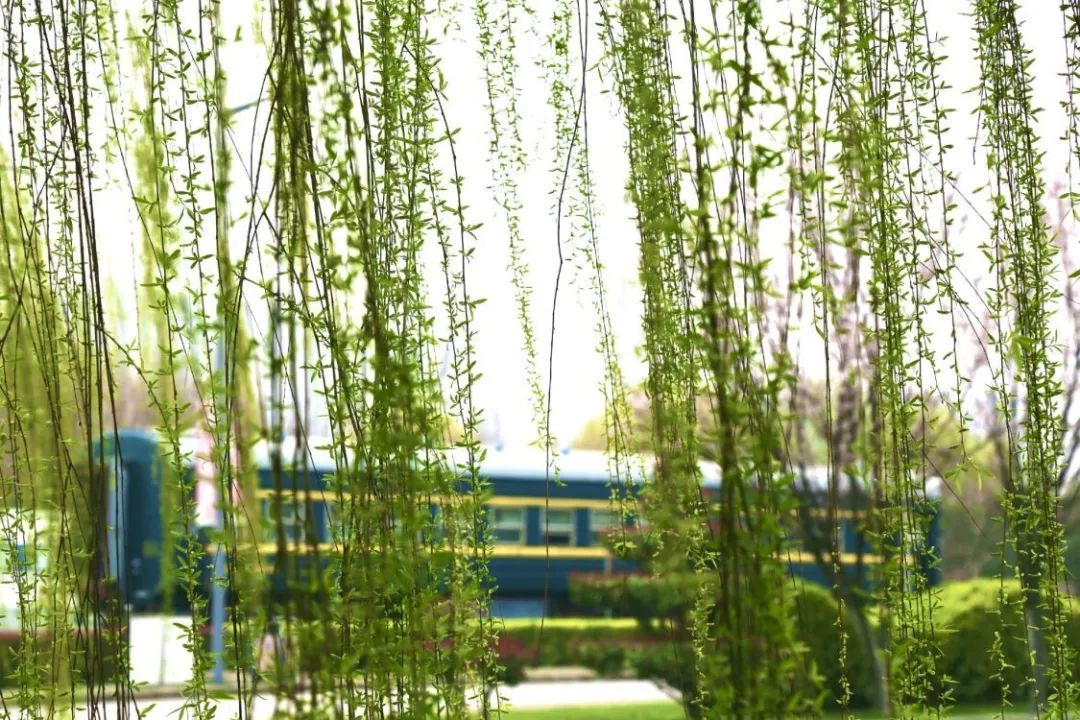 2021提前招生 | 明日开考，你准备好了吗？