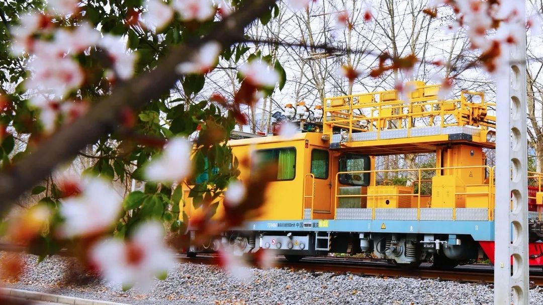 2021提前招生 | 明日开考，你准备好了吗？