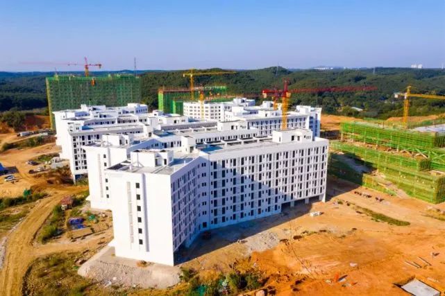 「轻松阅读」向广东“看齐”？这个省的高教即将腾飞