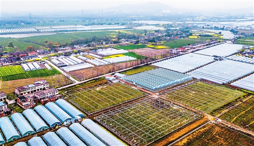 全面取消农业税
