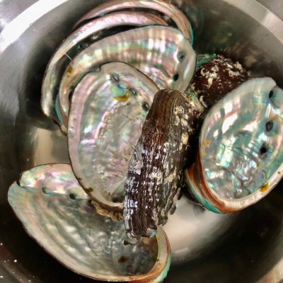 鮑魚的家常做法,鮑魚的家常做法清蒸
