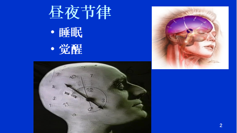 晒太阳能治失眠？褪黑素这样吃才有用？专家带你探索睡眠奥秘