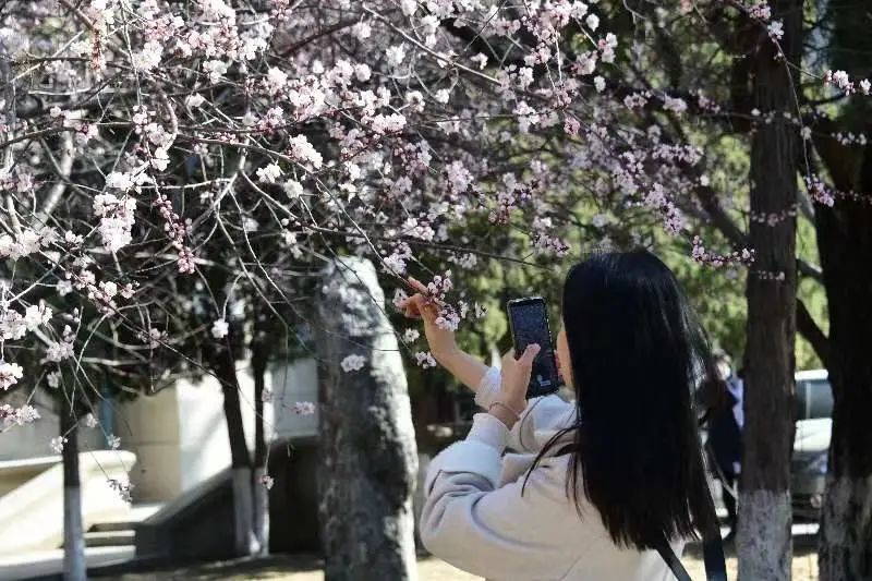 沈阳最美“校花”出炉，颜值太高了！有你学校的吗？
