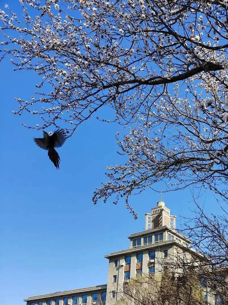 沈阳最美“校花”出炉，颜值太高了！有你学校的吗？