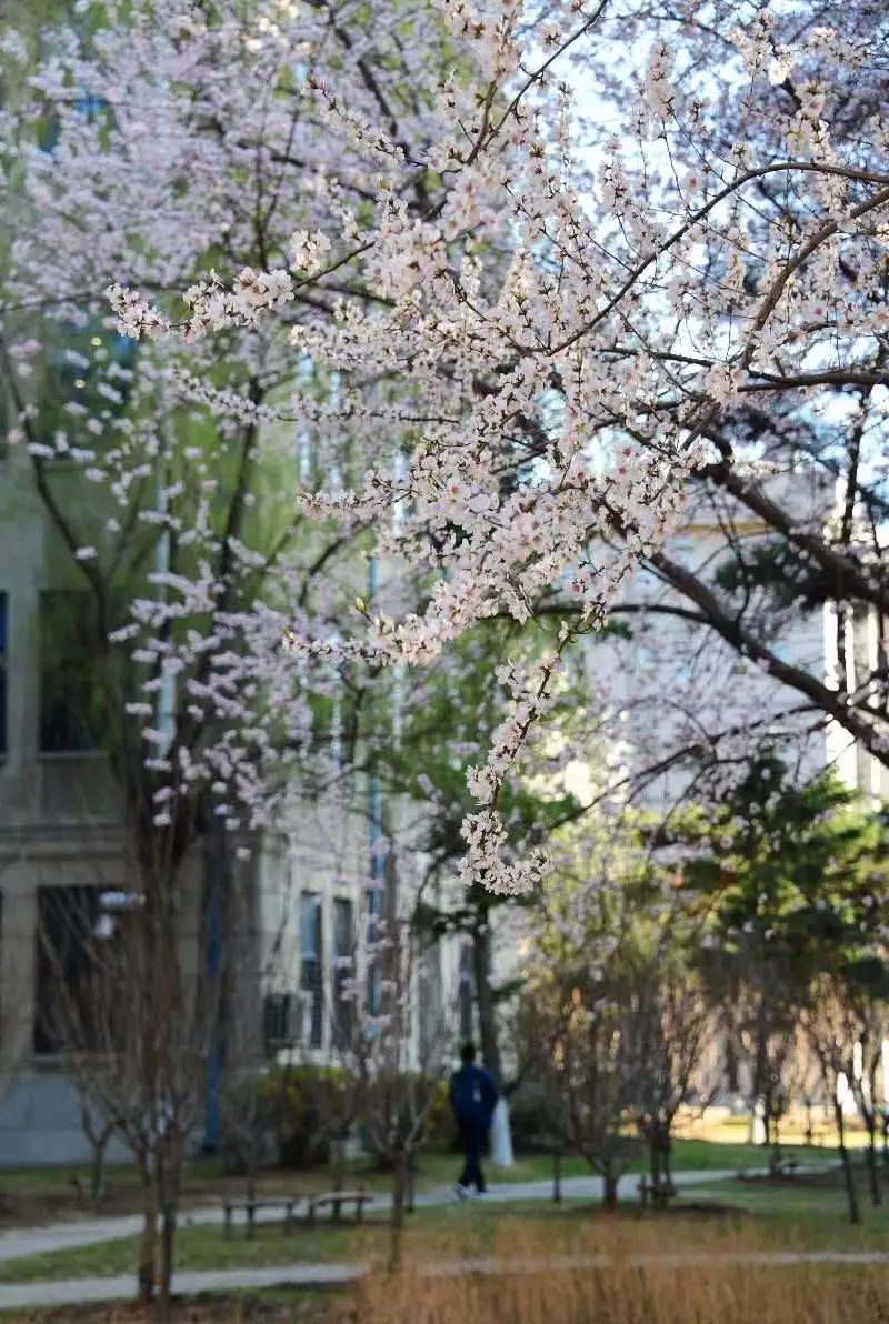 沈阳最美“校花”出炉，颜值太高了！有你学校的吗？