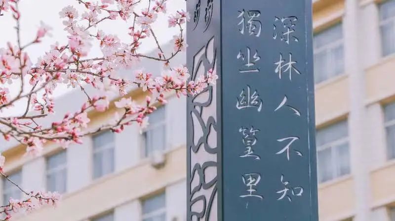 沈阳最美“校花”出炉，颜值太高了！有你学校的吗？