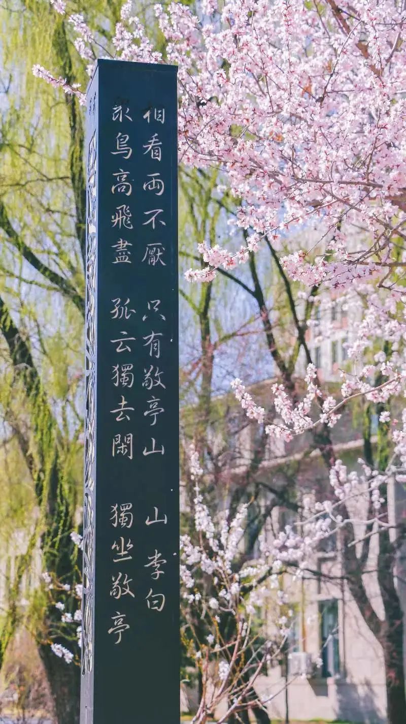 沈阳最美“校花”出炉，颜值太高了！有你学校的吗？