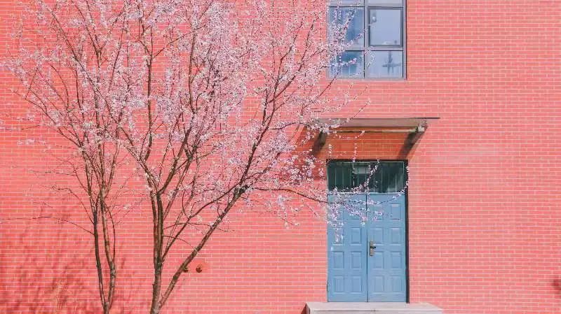 沈阳最美“校花”出炉，颜值太高了！有你学校的吗？