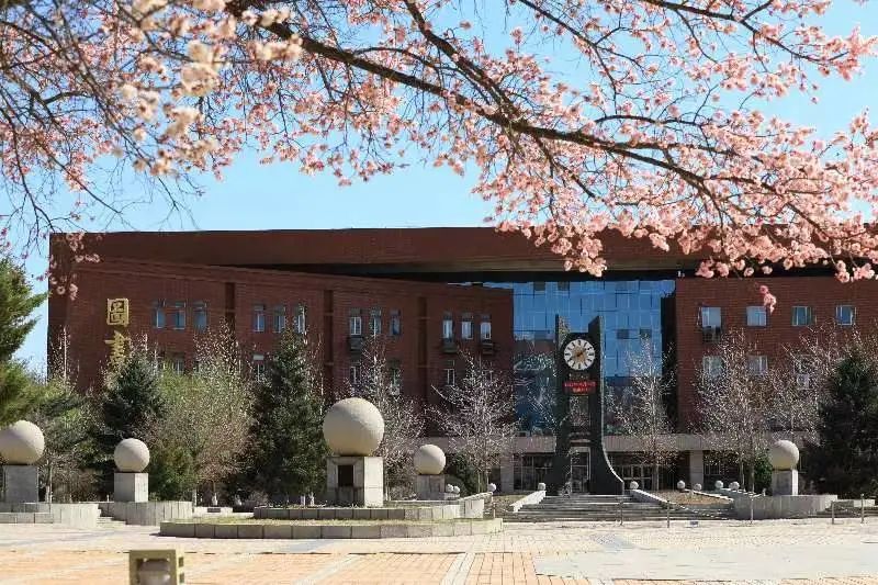 沈阳最美“校花”出炉，颜值太高了！有你学校的吗？