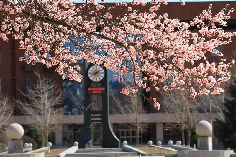 沈阳最美“校花”出炉，颜值太高了！有你学校的吗？