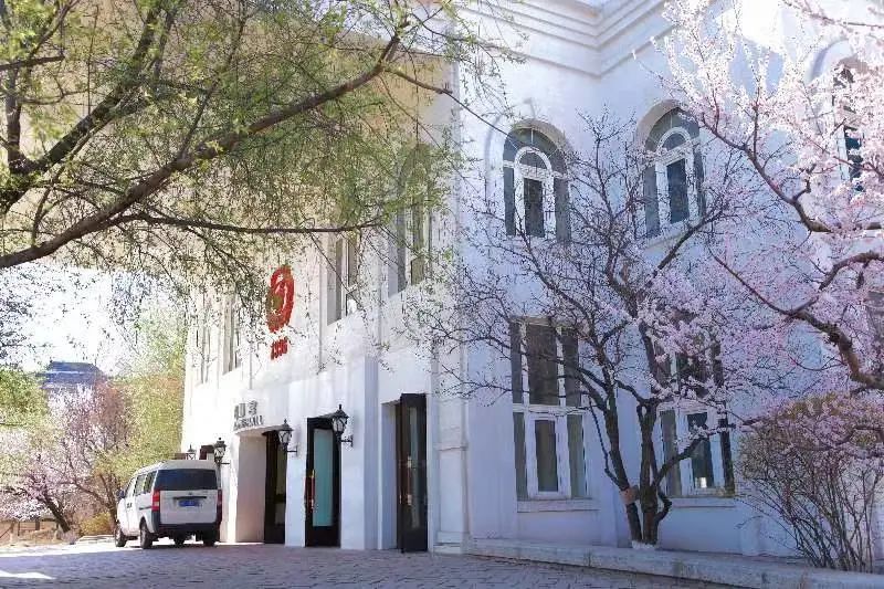 沈阳最美“校花”出炉，颜值太高了！有你学校的吗？