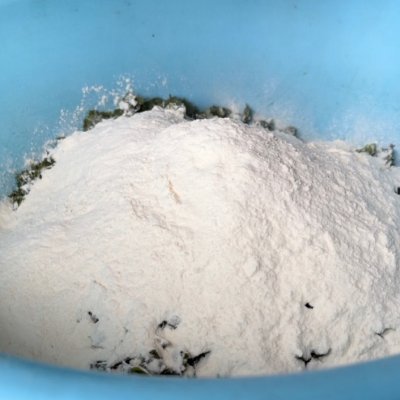 榆錢窩窩頭的做法,榆錢窩窩頭的做法 發面