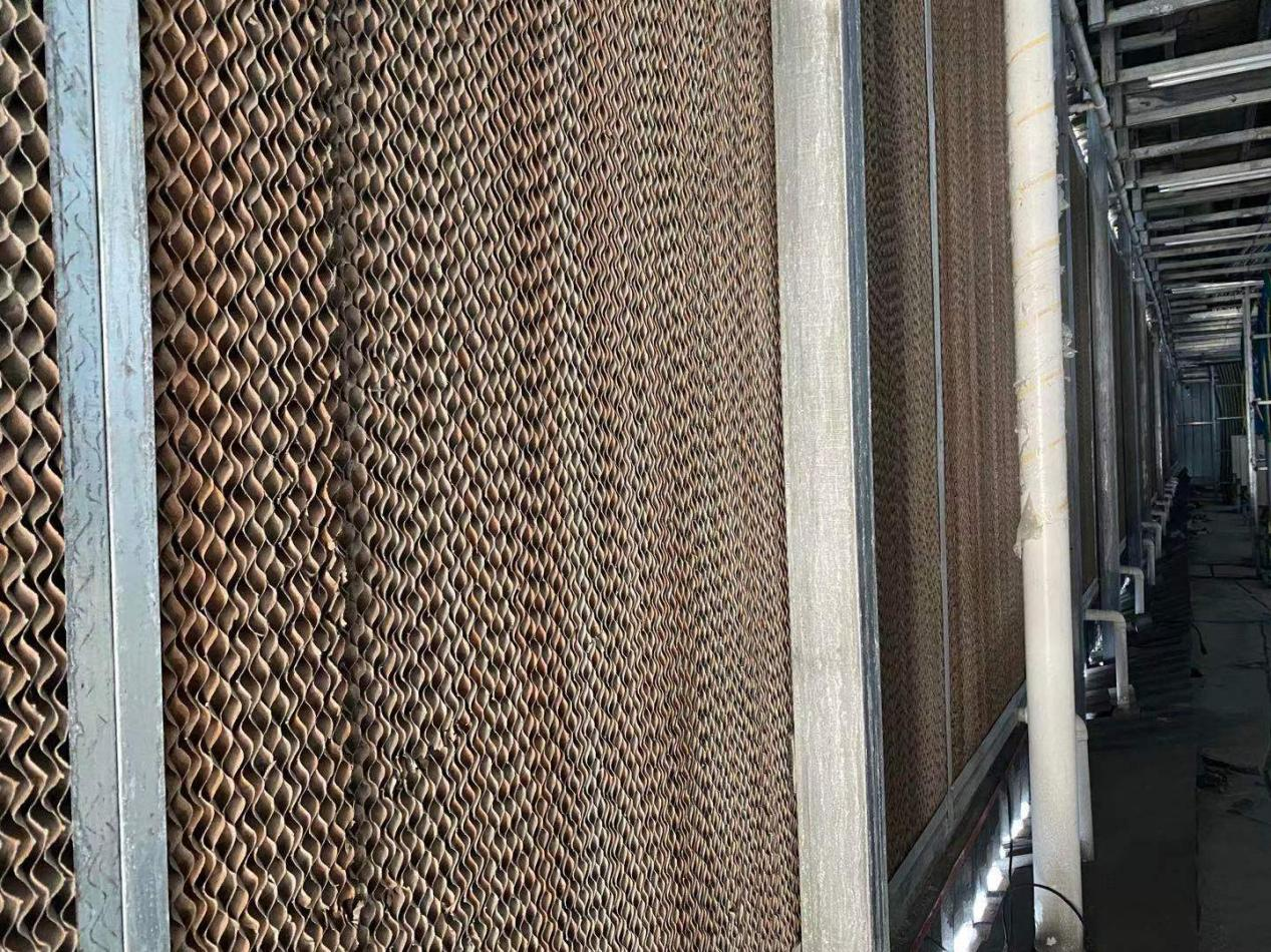 货殖列传｜95后比特币矿场主的蓝用房地产逻辑经营矿场