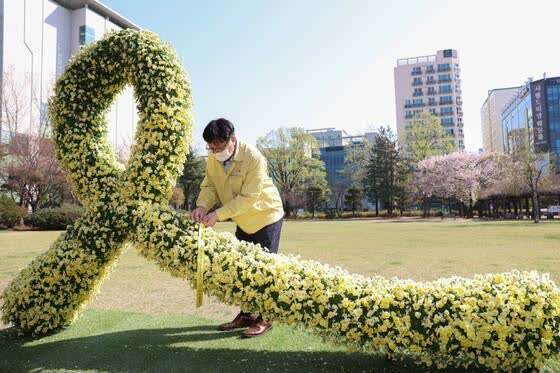 世越号沉船事件(回忆“世越号”：这桩悲剧，七年后韩国人仍刻骨铭心)