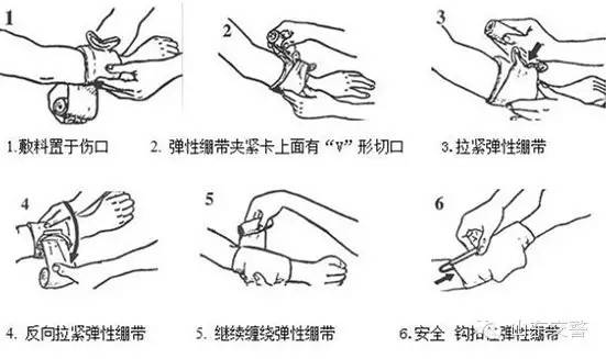 大客车的逃生技巧，你真得知道！