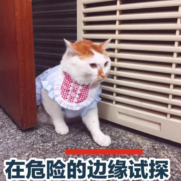 非机动车,非机动车道