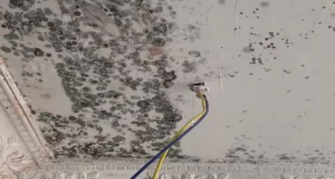 外墙渗水发霉处理方法与修复技巧
