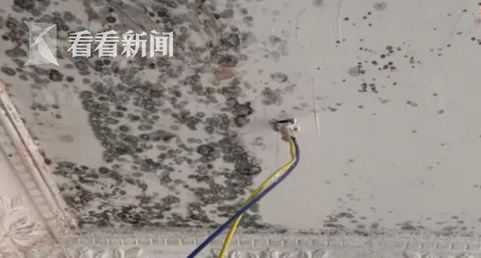 “霉花”朵朵开……交房才半年 外墙频频渗水！28名业主苦不堪言